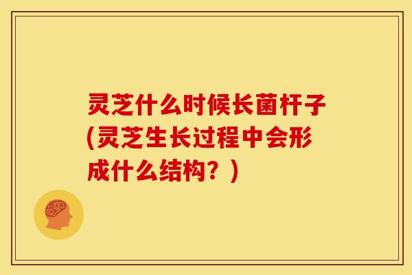 灵芝什么时候长菌杆子(灵芝生长过程中会形成什么结构?)