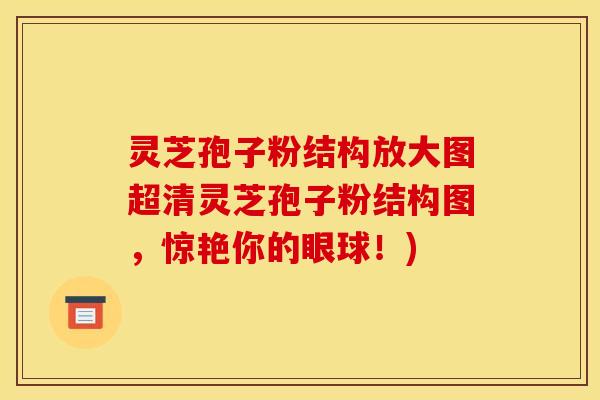灵芝孢子粉结构放大图超清灵芝孢子粉结构图,惊艳你的眼球!)