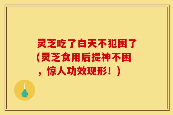 灵芝吃了白天不犯困了(灵芝食用后提神不困,惊人功效现形!)