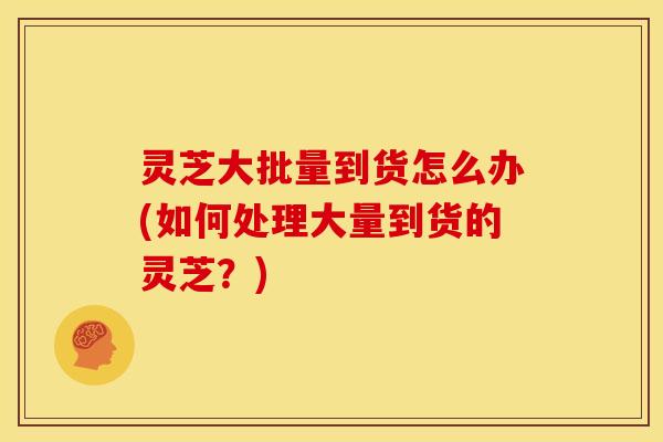 灵芝大批量到货怎么办(如何处理大量到货的灵芝?)