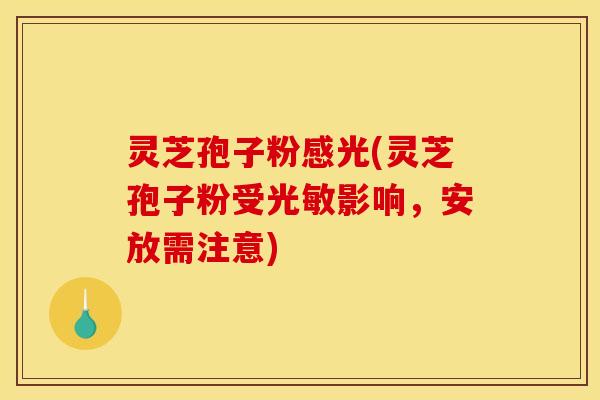灵芝孢子粉感光(灵芝孢子粉受光敏影响，安放需注意)