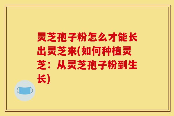 灵芝孢子粉怎么才能长出灵芝来(如何种植灵芝:从灵芝孢子粉到生长)