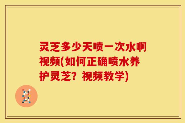 灵芝多少天喷一次水啊视频(如何正确喷水养护灵芝?视频教学)