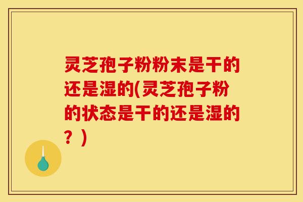 灵芝孢子粉粉末是干的还是湿的(灵芝孢子粉的状态是干的还是湿的?)