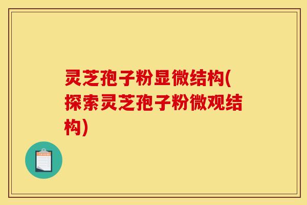 灵芝孢子粉显微结构(探索灵芝孢子粉微观结构)