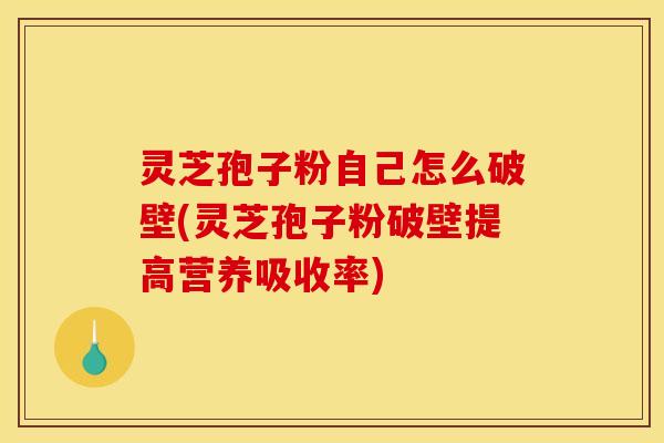 灵芝孢子粉自己怎么破壁(灵芝孢子粉破壁提高营养吸收率)