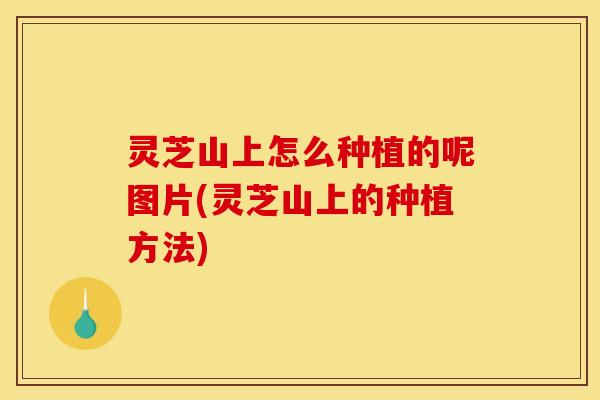 灵芝山上怎么种植的呢图片(灵芝山上的种植方法)