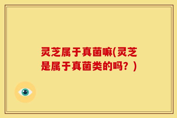 灵芝属于真菌嘛(灵芝是属于真菌类的吗？)