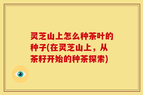 灵芝山上怎么种茶叶的种子(在灵芝山上,从茶籽开始的种茶探索)