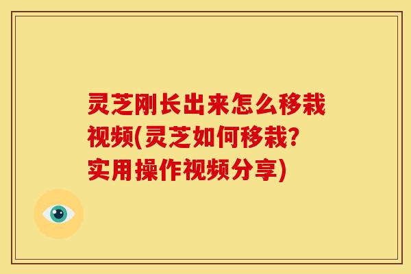 灵芝刚长出来怎么移栽视频(灵芝如何移栽？实用操作视频分享)