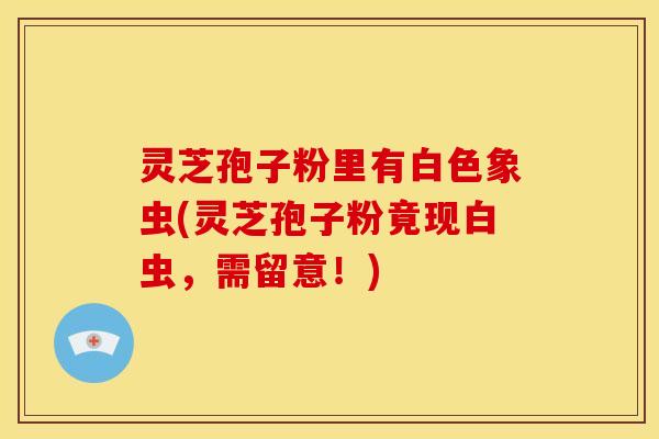 灵芝孢子粉里有白色象虫(灵芝孢子粉竟现白虫,需留意!)