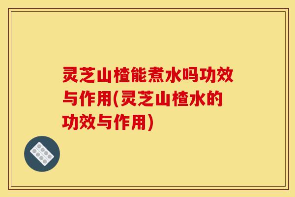 灵芝山楂能煮水吗功效与作用(灵芝山楂水的功效与作用)