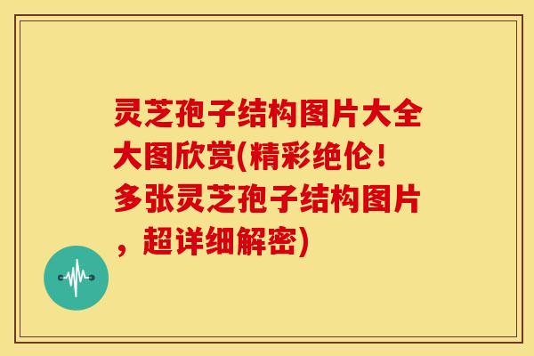 灵芝孢子结构图片大全大图欣赏(精彩绝伦！多张灵芝孢子结构图片，超详细解密)