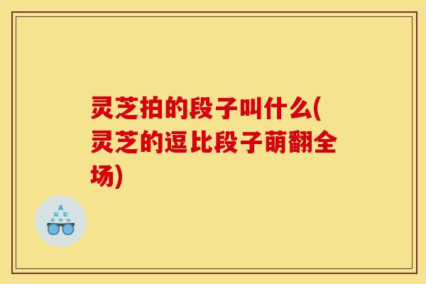 灵芝拍的段子叫什么(灵芝的逗比段子萌翻全场)