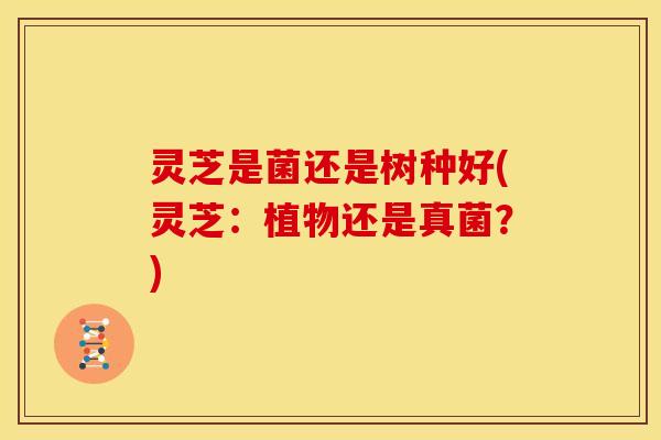 灵芝是菌还是树种好(灵芝:植物还是真菌?)