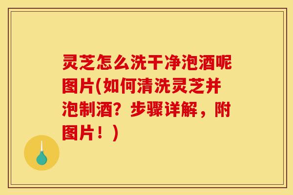 灵芝怎么洗干净泡酒呢图片(如何清洗灵芝并泡制酒?步骤详解,附图片!)
