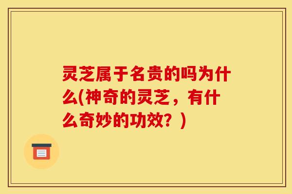 灵芝属于名贵的吗为什么(神奇的灵芝，有什么奇妙的功效？)