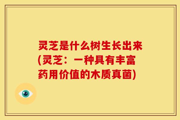 灵芝是什么树生长出来(灵芝：一种具有丰富药用价值的木质真菌)