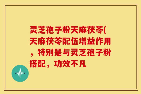 灵芝孢子粉天麻茯苓(天麻茯苓配伍增益作用,特别是与灵芝孢子粉搭配,功效不凡