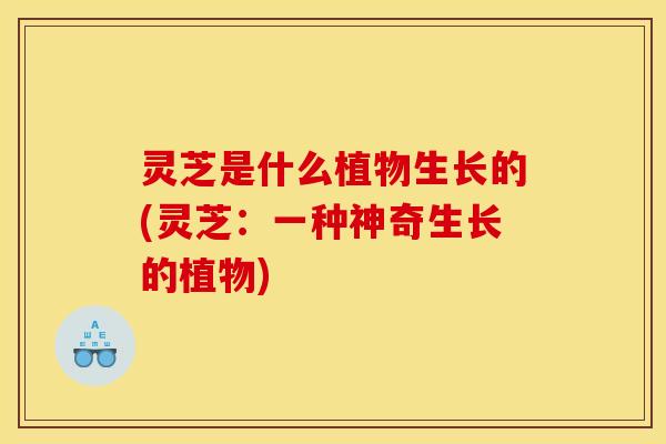 灵芝是什么植物生长的(灵芝:一种神奇生长的植物)