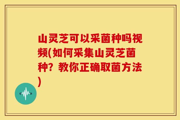 山灵芝可以采菌种吗视频(如何采集山灵芝菌种?教你正确取菌方法)