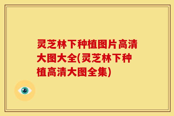 灵芝林下种植图片高清大图大全(灵芝林下种植高清大图全集)