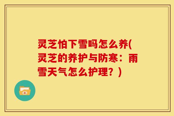 灵芝怕下雪吗怎么养(灵芝的养护与防寒:雨雪天气怎么护理?)