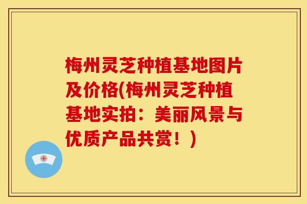 梅州灵芝种植基地图片及价格(梅州灵芝种植基地实拍:美丽风景与优质产品共赏!)