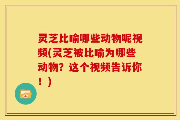 灵芝比喻哪些动物呢视频(灵芝被比喻为哪些动物?这个视频告诉你!)