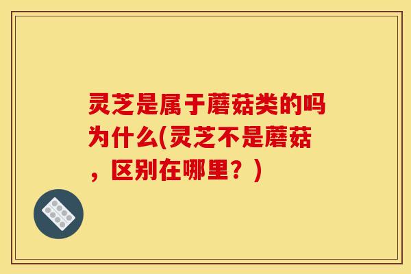 灵芝是属于蘑菇类的吗为什么(灵芝不是蘑菇,区别在哪里?)