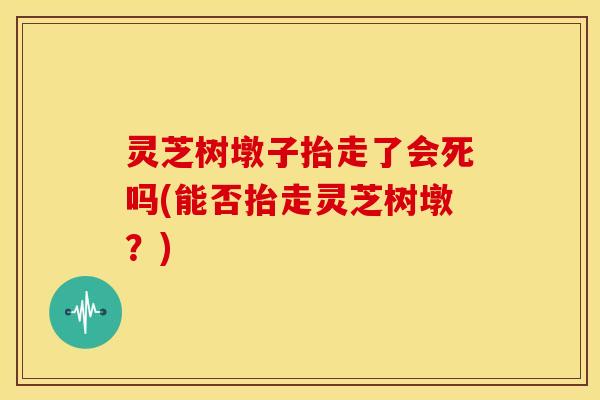 灵芝树墩子抬走了会死吗(能否抬走灵芝树墩?)
