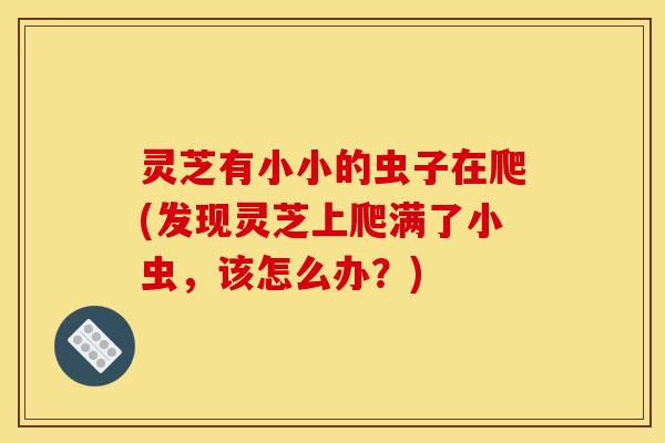 灵芝有小小的虫子在爬(发现灵芝上爬满了小虫，该怎么办？)
