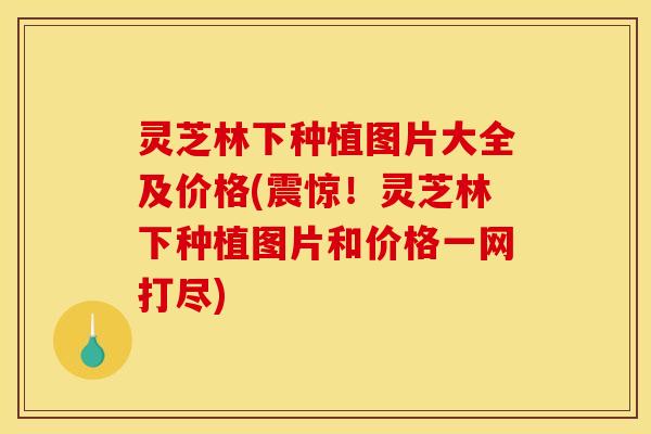 灵芝林下种植图片大全及价格(震惊！灵芝林下种植图片和价格一网打尽)