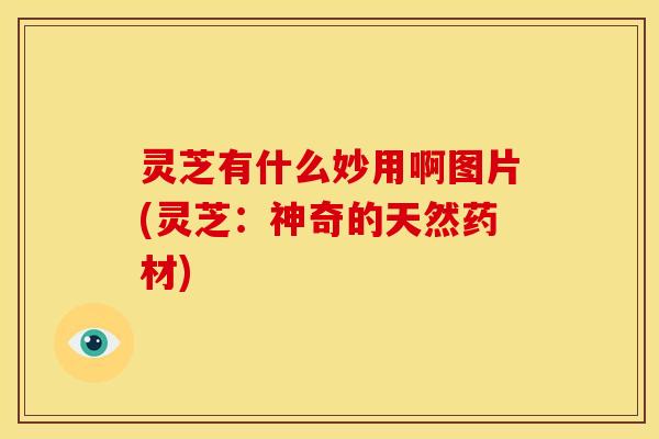 灵芝有什么妙用啊图片(灵芝:神奇的天然药材)