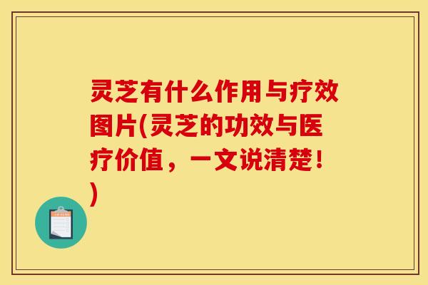 灵芝有什么作用与疗效图片(灵芝的功效与医疗价值,一文说清楚!)