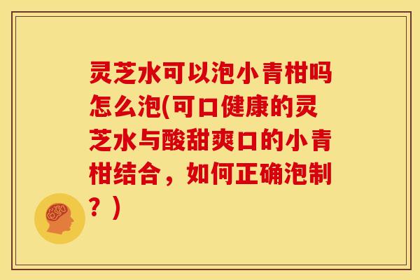 灵芝水可以泡小青柑吗怎么泡(可口健康的灵芝水与酸甜爽口的小青柑结合,如何正确泡制?)
