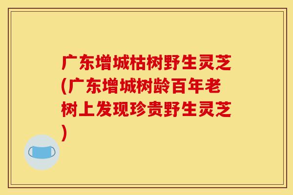 广东增城枯树野生灵芝(广东增城树龄百年老树上发现珍贵野生灵芝)