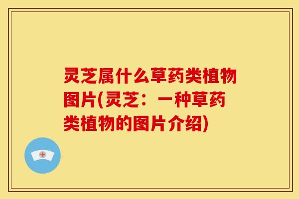 灵芝属什么草药类植物图片(灵芝:一种草药类植物的图片介绍)