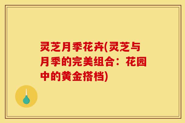 灵芝月季花卉(灵芝与月季的完美组合:花园中的黄金搭档)