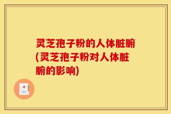 灵芝孢子粉的人体脏腑(灵芝孢子粉对人体脏腑的影响)
