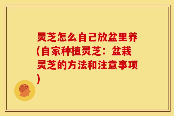 灵芝怎么自己放盆里养(自家种植灵芝:盆栽灵芝的方法和注意事项)