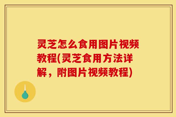 灵芝怎么食用图片视频教程(灵芝食用方法详解,附图片视频教程)
