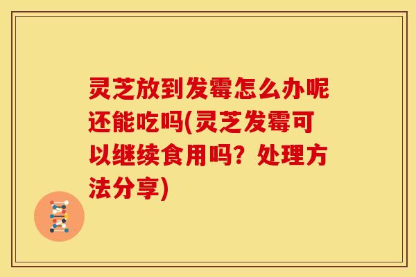 灵芝放到发霉怎么办呢还能吃吗(灵芝发霉可以继续食用吗?处理方法分享)