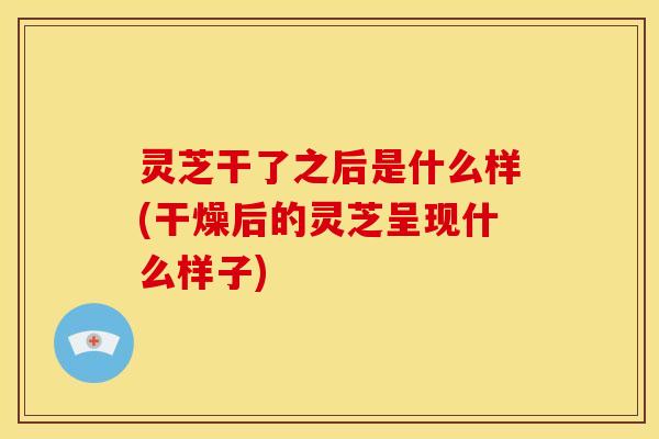 灵芝干了之后是什么样(干燥后的灵芝呈现什么样子)