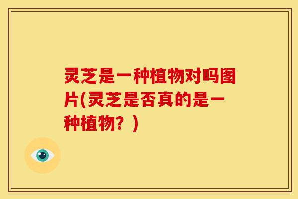 灵芝是一种植物对吗图片(灵芝是否真的是一种植物？)