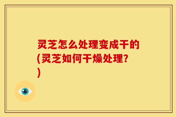 灵芝怎么处理变成干的(灵芝如何干燥处理?)
