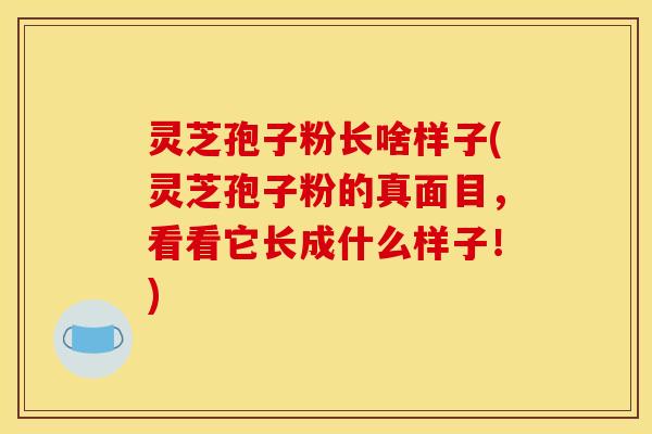 灵芝孢子粉长啥样子(灵芝孢子粉的真面目，看看它长成什么样子！)