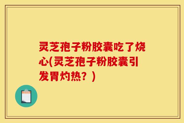 灵芝孢子粉胶囊吃了烧心(灵芝孢子粉胶囊引发胃灼热?)