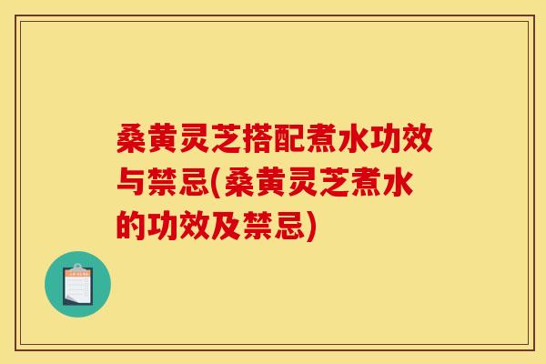 桑黄灵芝搭配煮水功效与禁忌(桑黄灵芝煮水的功效及禁忌)