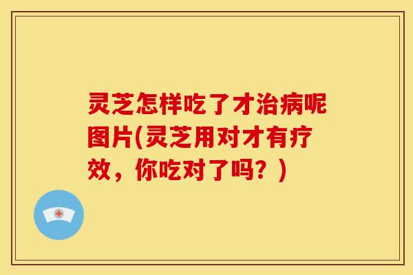 灵芝怎样吃了才治病呢图片(灵芝用对才有疗效,你吃对了吗?)